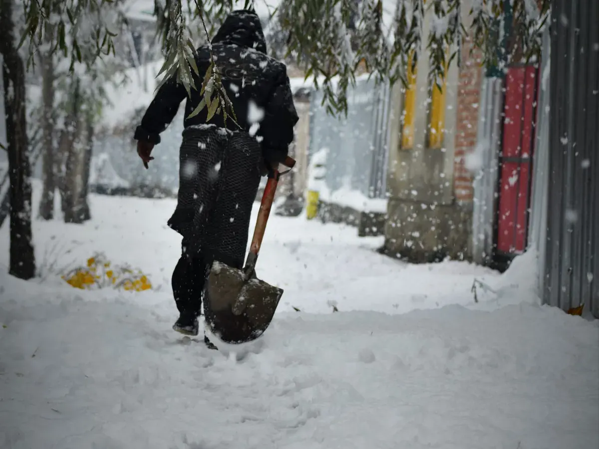 A person shovelling a snowy residential sidewalk