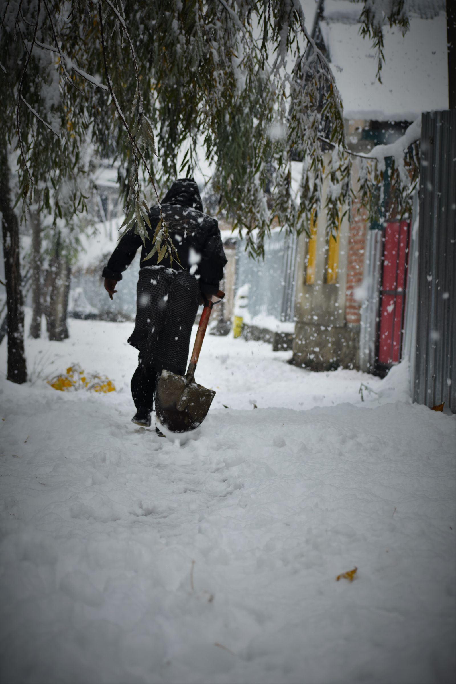 Sidewalk Snow Removal Laws: What Homeowners and Businesses Are Required to Do